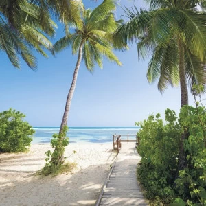 SH088-VD3-Palmy-Beach Фотообои Komar Stefan Hefele 2.5х3 м