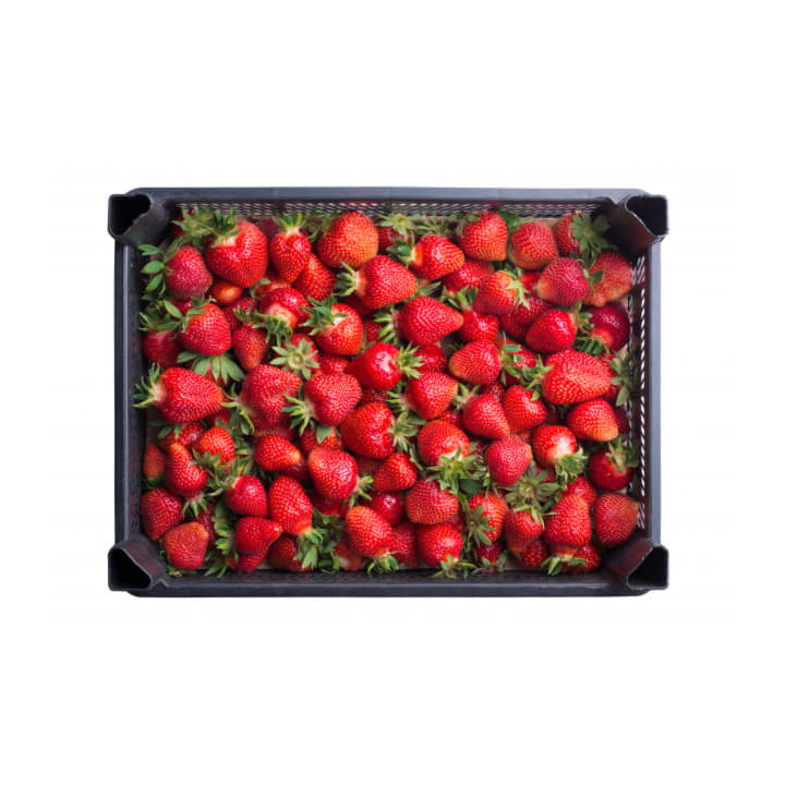 Клубника Кубань в ящике ~5 кг Santreyd 19488