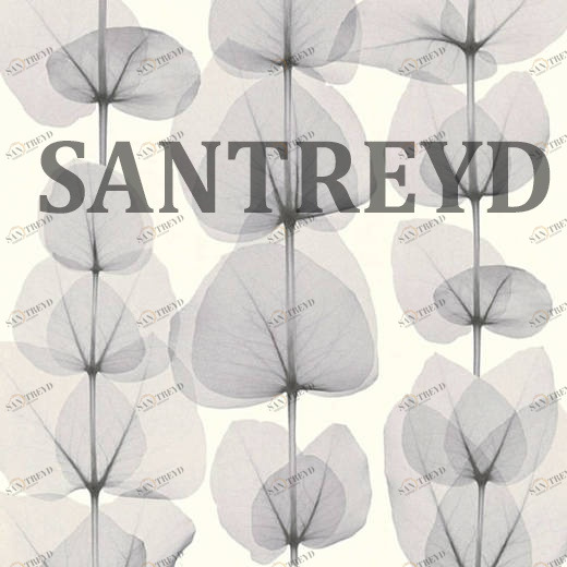 34245-2 Обои A.S. Creation X-Ray 342452