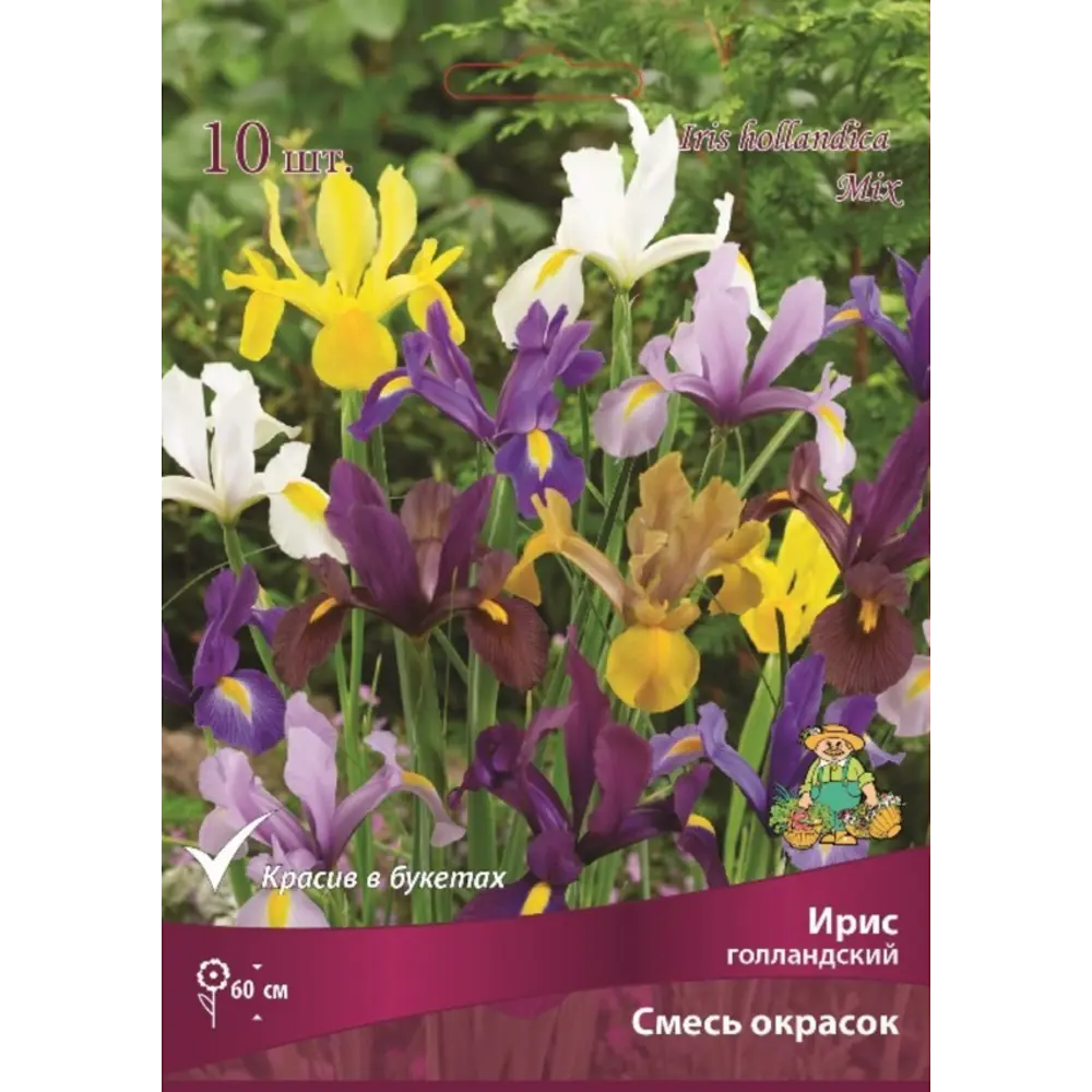 Луковицы цветов эконом микс 83950745 STLM-2007630 Santreyd 