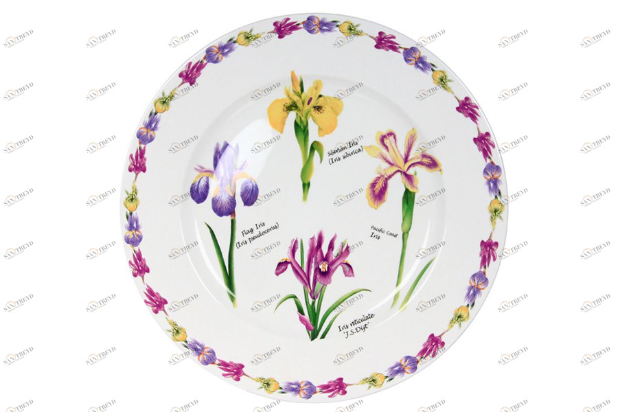 Тарелка керамическая 23 см белая "Ирисы" IMARI ЦВЕТЫ 00-3973519 Белый;фиолетовый 