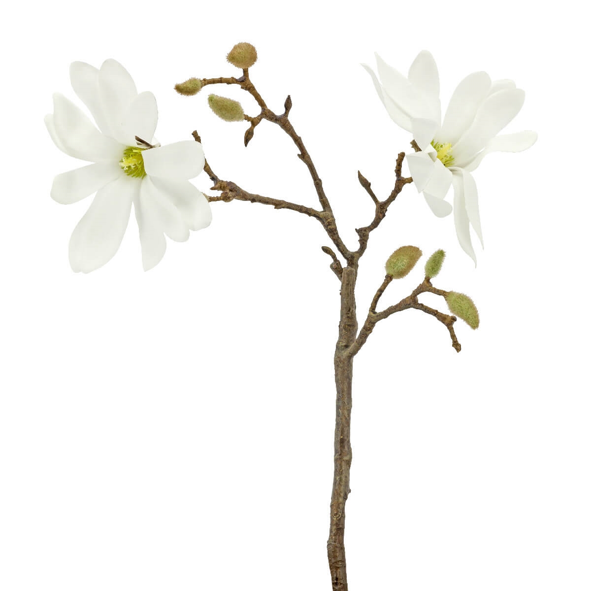 210213-10 ABHIKA МАГНОЛИЯ ЯП СТЕМ WHITE 