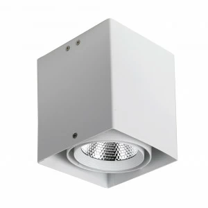 Потолочный светодиодный светильник Favourite Flashled 1986-1U FAVOURITE FLASHLED WHITE 103418 Белый