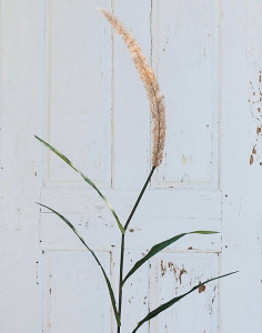 6813 608 a3 Трость искусственная, 160 см, коричнево-зеленая H-andreas