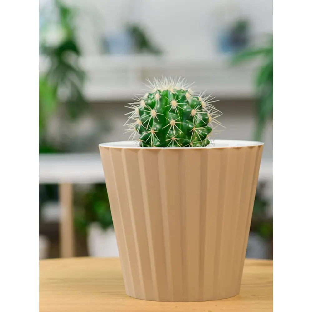 Горшок цветочный Ingreen Sand ø16 h14.6 см v2 л пластик молочный шоколад STLM-2073913 - Вид №5