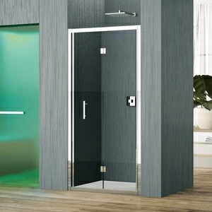 Двери в нишу 102 см ZEPHYROS S Novellini ZEPHYROS