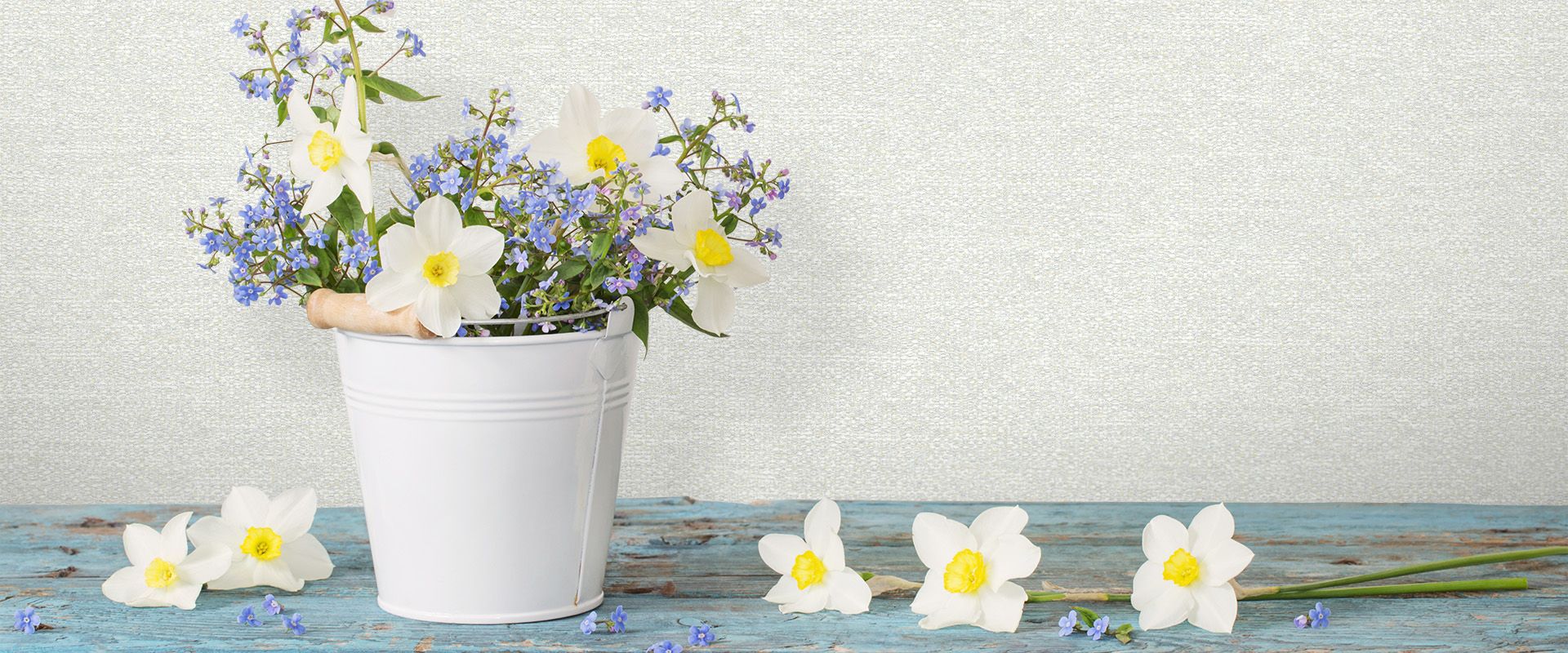 Victoria Stenova 88203 Фон NEZABUDKA 88203  - Вид №1