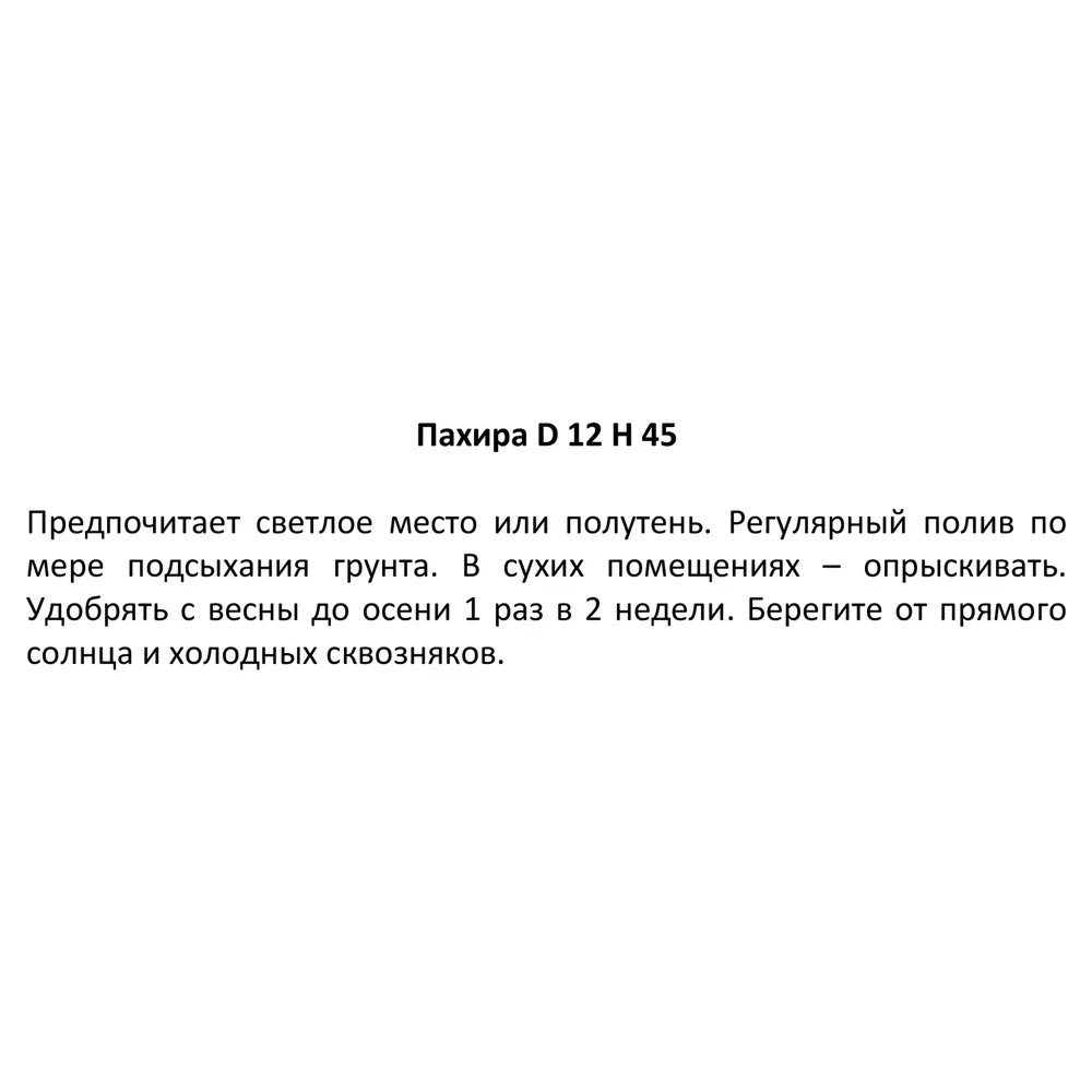 Пахира ø12 h45 см 85394474 STLM-2074415 Santreyd  - Вид №3