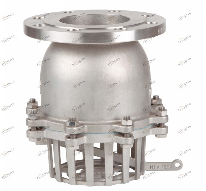 GENEBRE 2448 16 Обратный клапан с ножкой с фланцем DIN PN 16 