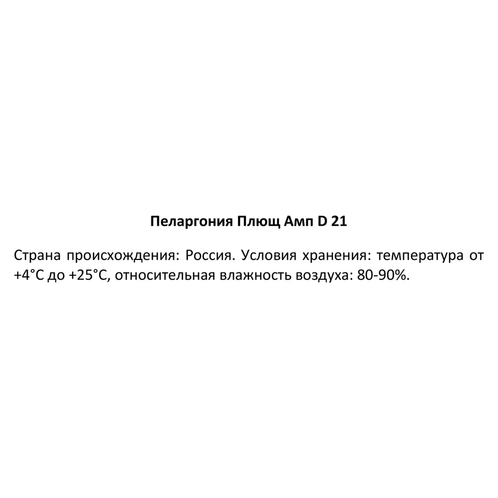 Пеларгония плющелистная в кашпо ø21 h35 см 83248504 STLM-2001013 Santreyd  - Вид №3