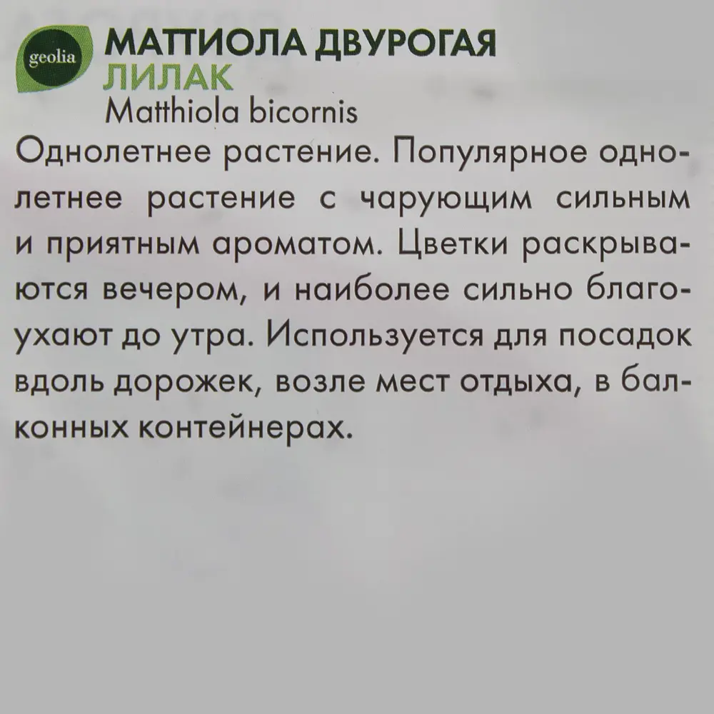 Маттиола двурогая Лилак GEOLIA - ночной аромат для сада 17585607 STLM-0008393 - Вид №2