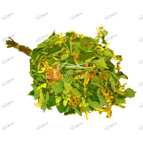 Липовый веник для бани Santreyd 2762