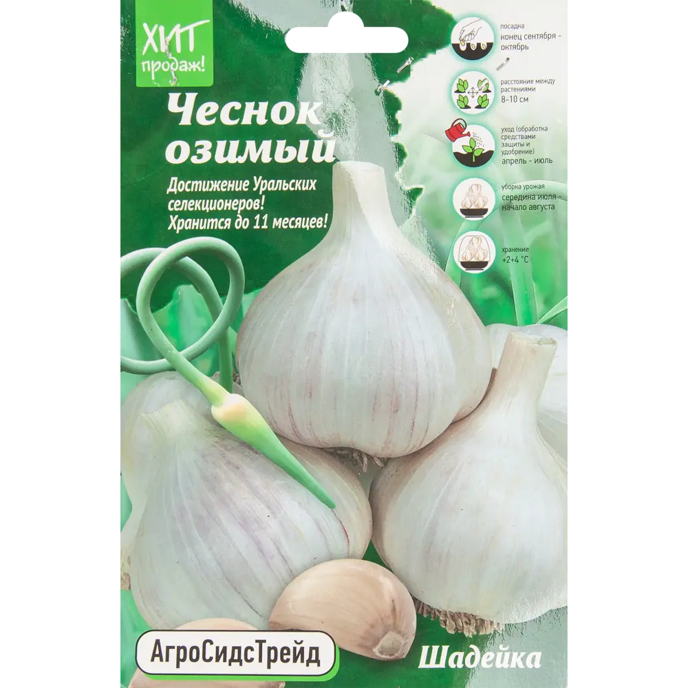 Santreyd Чеснок озимый Шадейка - 7 луковиц для богатого урожая 85273427 STLM-0966003