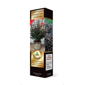 Пузыреплодник калинолистный Литтл джокер ø6 h37 см 83786894 STLM-2137658
