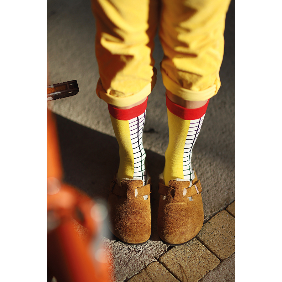 DYSOCKSFRI Носки , fries Doiy  - Вид №1