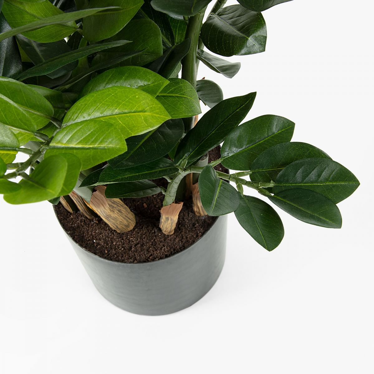 061076 ЦВЕТОК Искусственный смараг в горшке AA3182 La Forma  - Вид №1