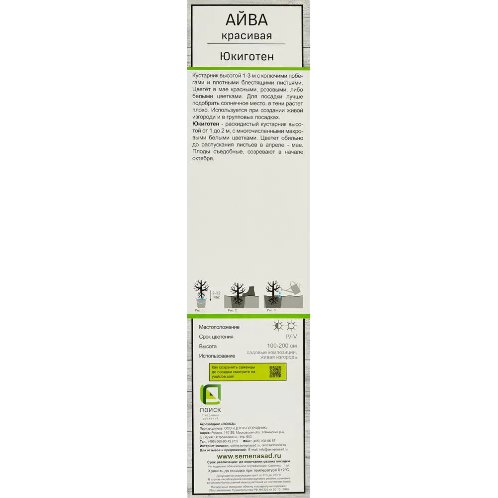 Айва красивая Юкиготен h37 см в тубе 82150717 STLM-2090247 Santreyd  - Вид №2