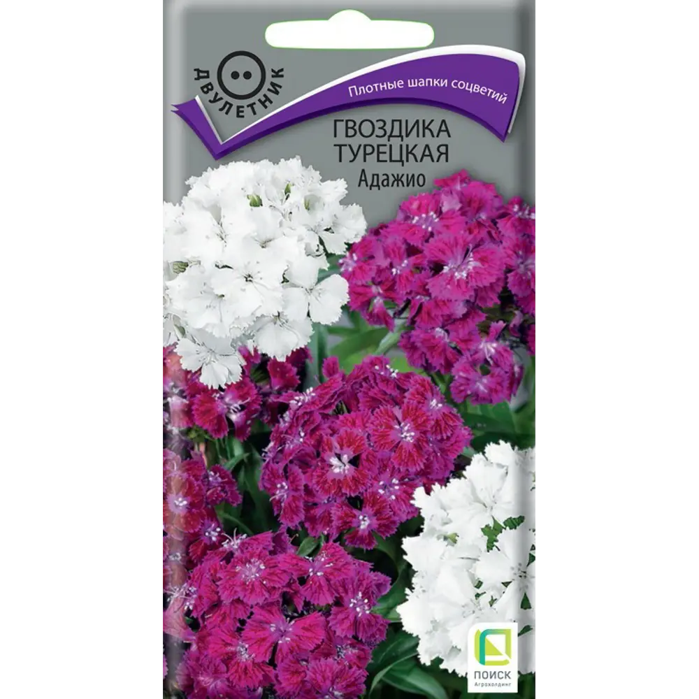 Семена цветов Поиск гвоздика Турецкая Адажио 86218031 STLM-2083437 