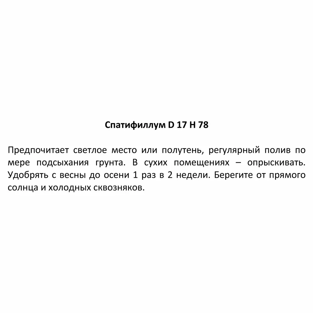 Спатифиллум ø17 h78 см 85394506 STLM-2172965 Santreyd  - Вид №4