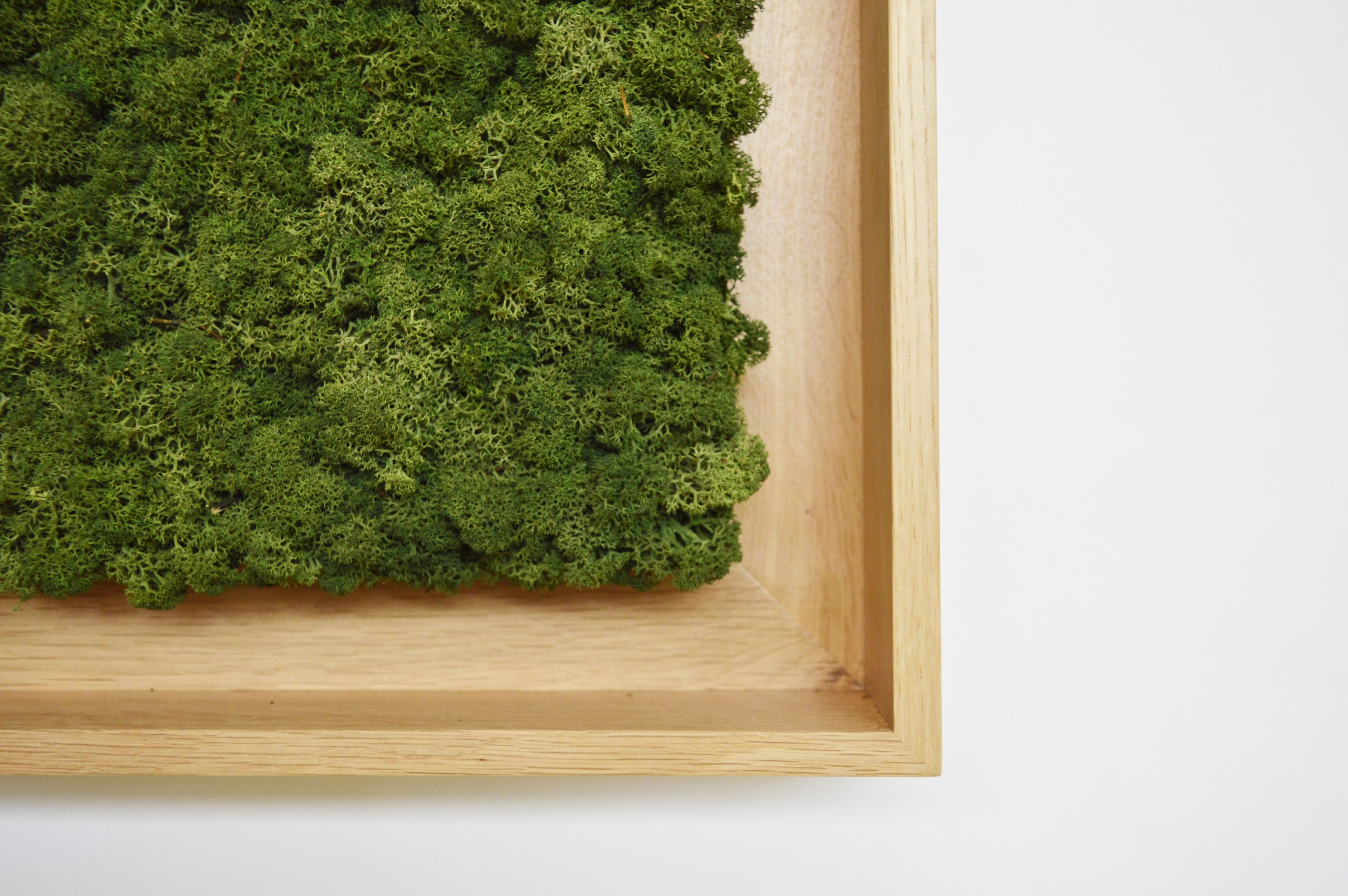 Акустическая панель из мха GREENMOOD FRAMED HARMONY ARCH-00128753 - Вид №23