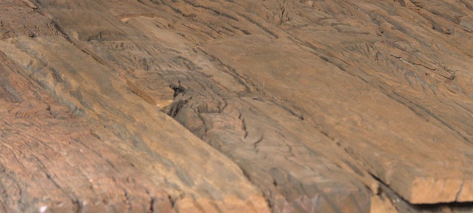 000909 Витрина Tasman Contradiction Railwood Santreyd  - Вид №2