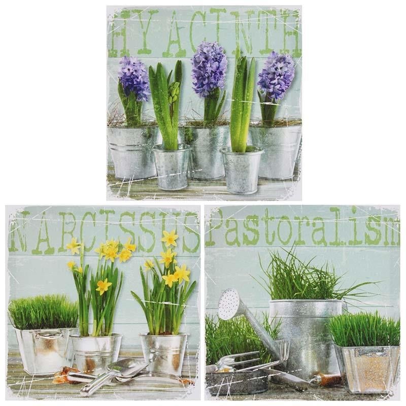 3890709.0152_3 ПРИНТ НА ПОДРАМНИКЕ, КОМПЛЕКТ ИЗ 3 ШТ TO4ROOMS  - Вид №1