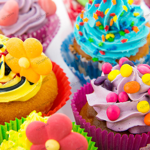 C1-307 Фотообои DIVINO Collection C 1.47х2 м C1307