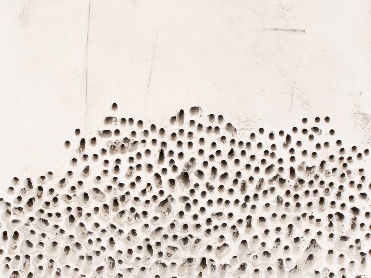 Alveolizzazione Произведение искусства Visionnaire  - Вид №2