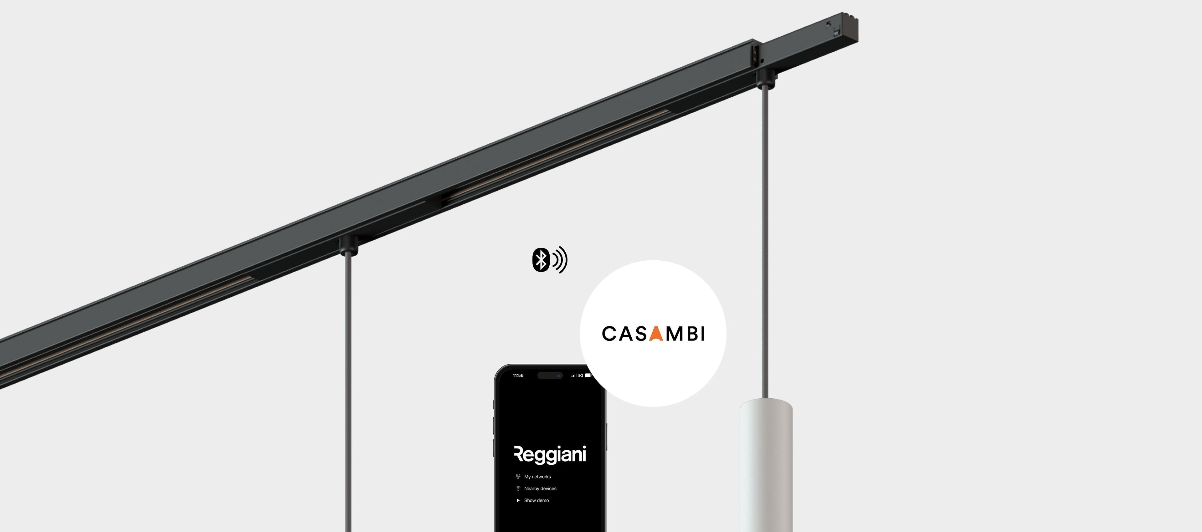 Светодиодный подвесной светильник Reggiani 48 V System ARCH-00069887 - Вид №1