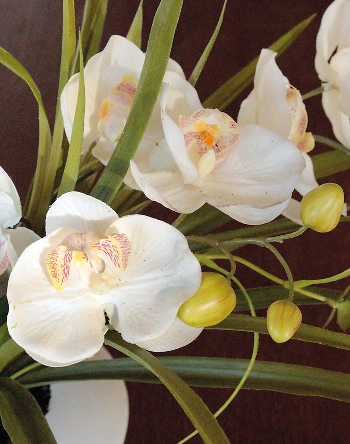 2768 778 a3 Пластиковая орхидея Phalaenopsis с суккулентами, горшечная, 55 см, бежево-белая H-andreas  - Вид №1