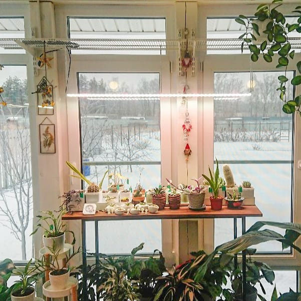 3395 Биколор Комфорт 2.5.b - Рассада,Микрозелень. Белый свет. LAB.Space  - Вид №4