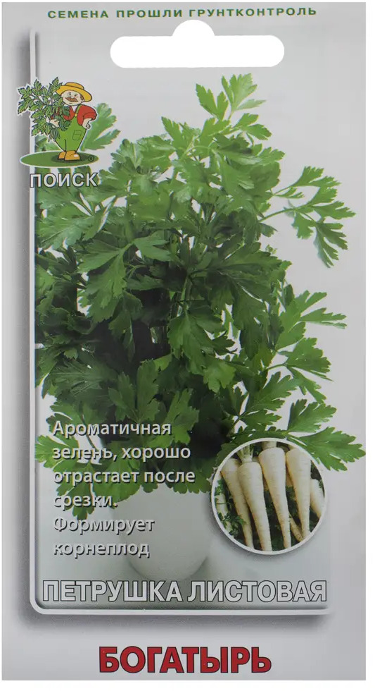 ПОИСК Петрушка Богатырь - ароматная зелень для вашего огорода 18356566