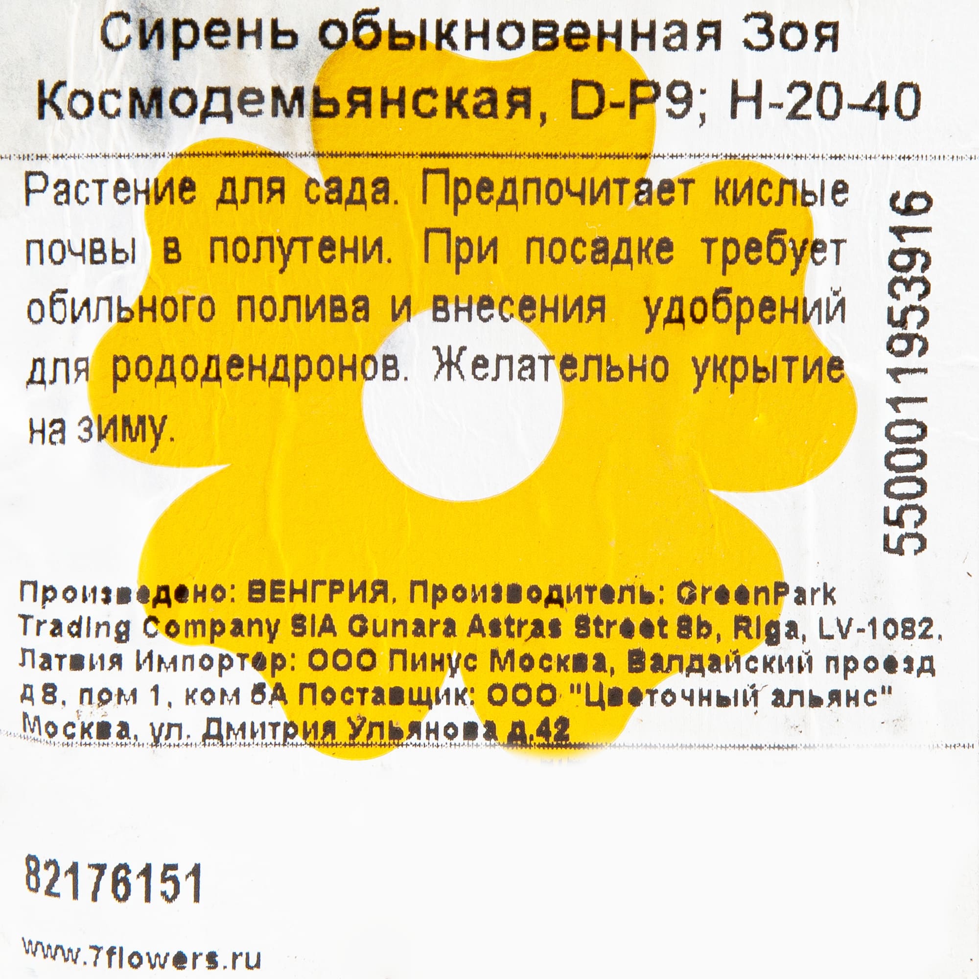 82176151 Сирень обык «Зоя Космодемьянская» P9 Santreyd  - Вид №1