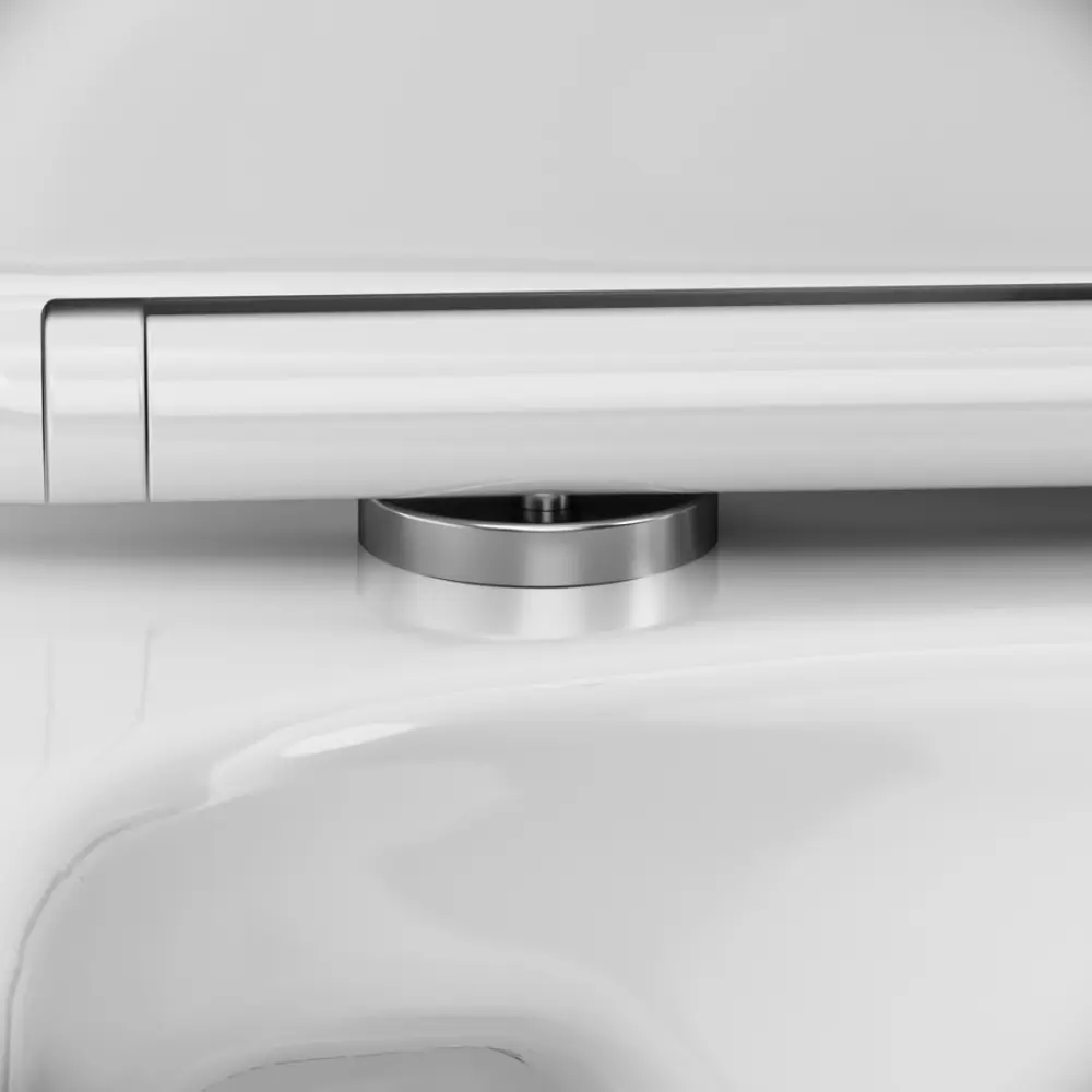 Унитаз-компакт DAMIXA Luna с системой двойного слива 84342517 STLM-0048679 - Вид №9