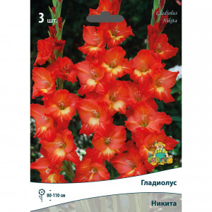 83596880 Гладиолус крупноцветковый Никита луковица 10/12