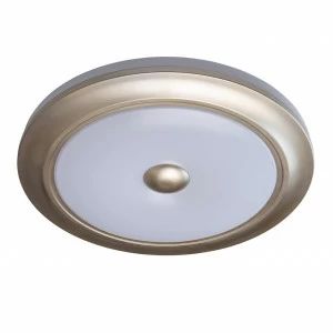 Потолочный светодиодный светильник De Markt Энигма 688010301 DE MARKT ЭНИГМА 202771 Белый;серебро