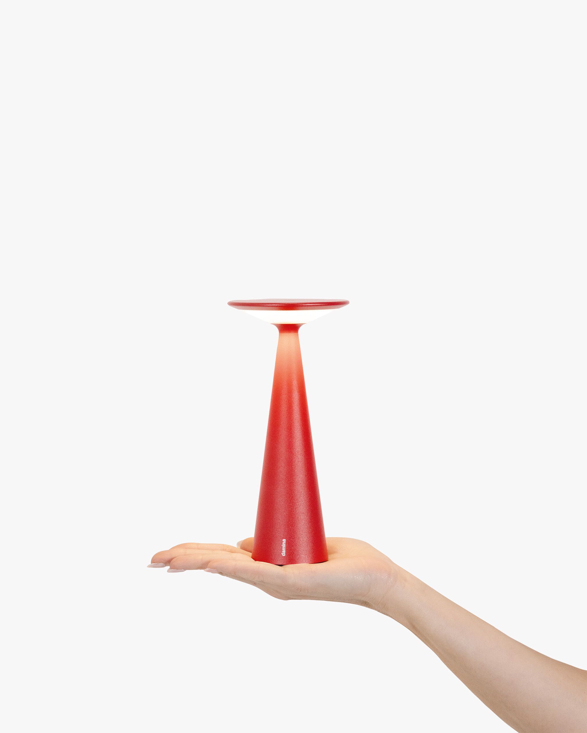 Алюминиевая аккумуляторная настольная лампа Zafferano DAMINA ARCH-00129759 - Вид №3