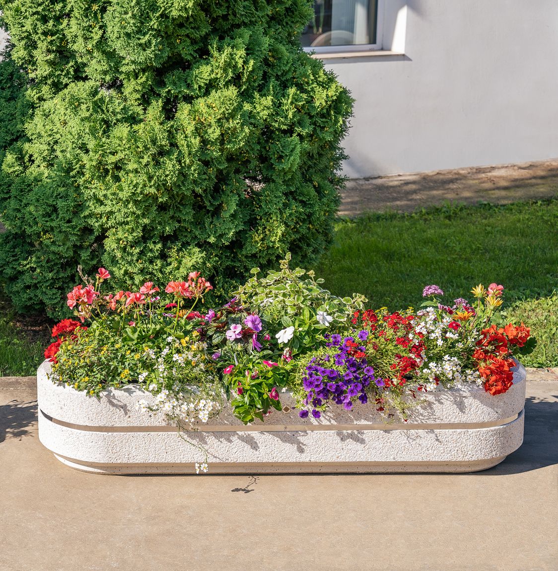Низкая бетонная плантатор ENCHO ENCHEV - ETE 24/25 ARCH-00056586 - Вид №5