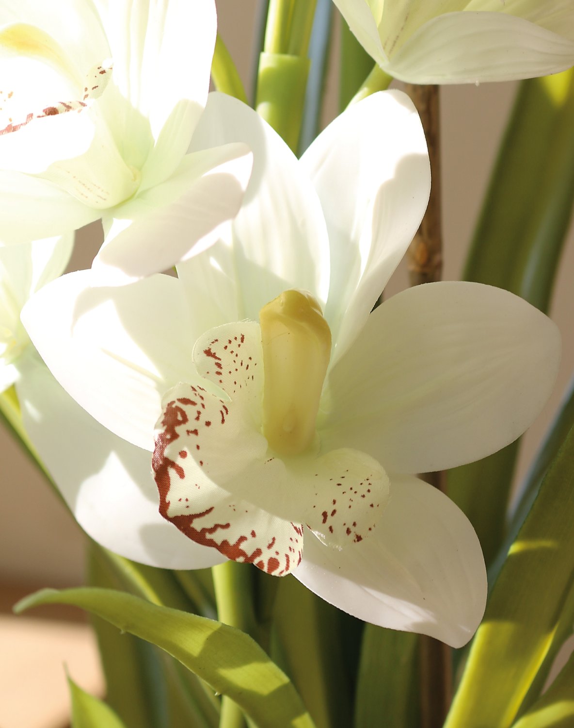 2532 778 a3 Пластиковая орхидея цимбидиум, горшок, 71 см, горшок, real touch soft, бежево-белый H-andreas  - Вид №4