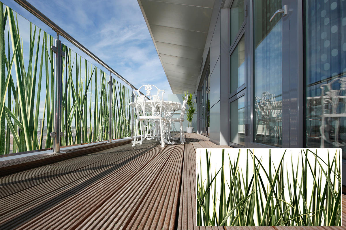 FSRT383 Зум-стекло Vivispectra с прослойкой стекла навеса  Forms-surfaces  - Вид №22