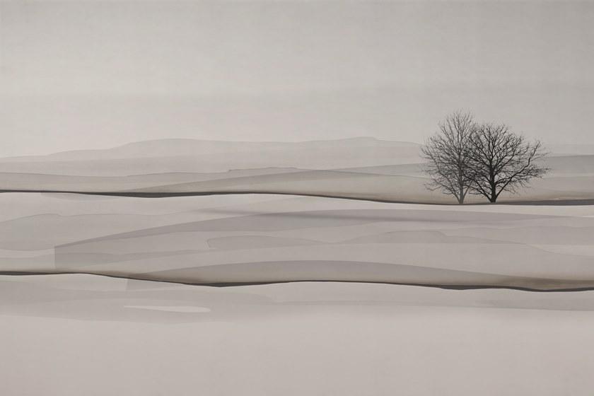 GLAMORA Пейзаж обои Collection x creative wallcoverings Glx64 - Вид №3