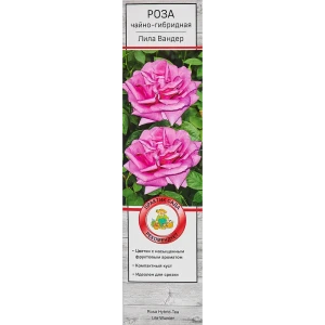 Розы чайно-гибридные «Лилла Вондер» 18347897 STLM-2163532