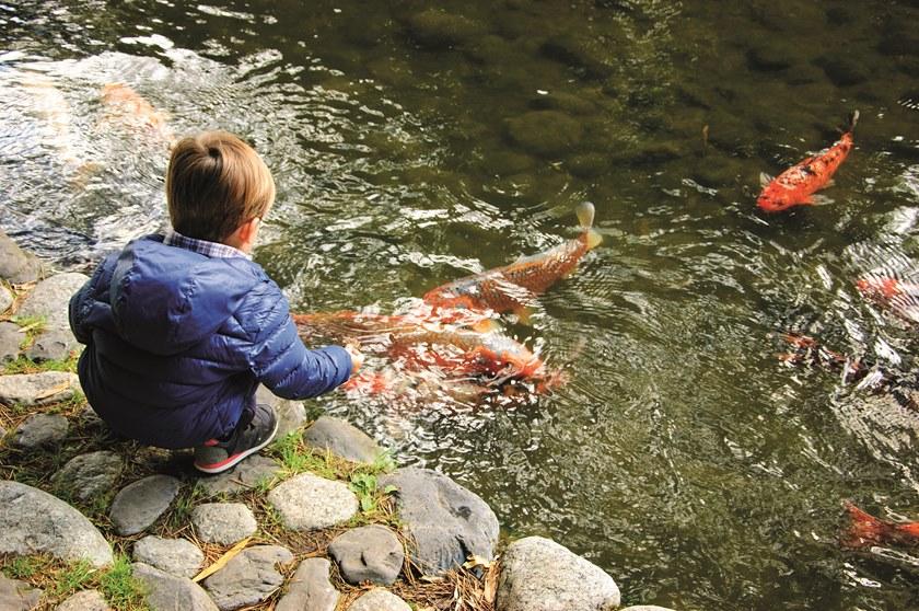 Firestone Building Products Синтетическая геомембрана sun-id-1408316 - Вид №7