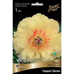 Пион ито-гибрид «Гарден Треже» разбор 2-3 82661872 STLM-2086824