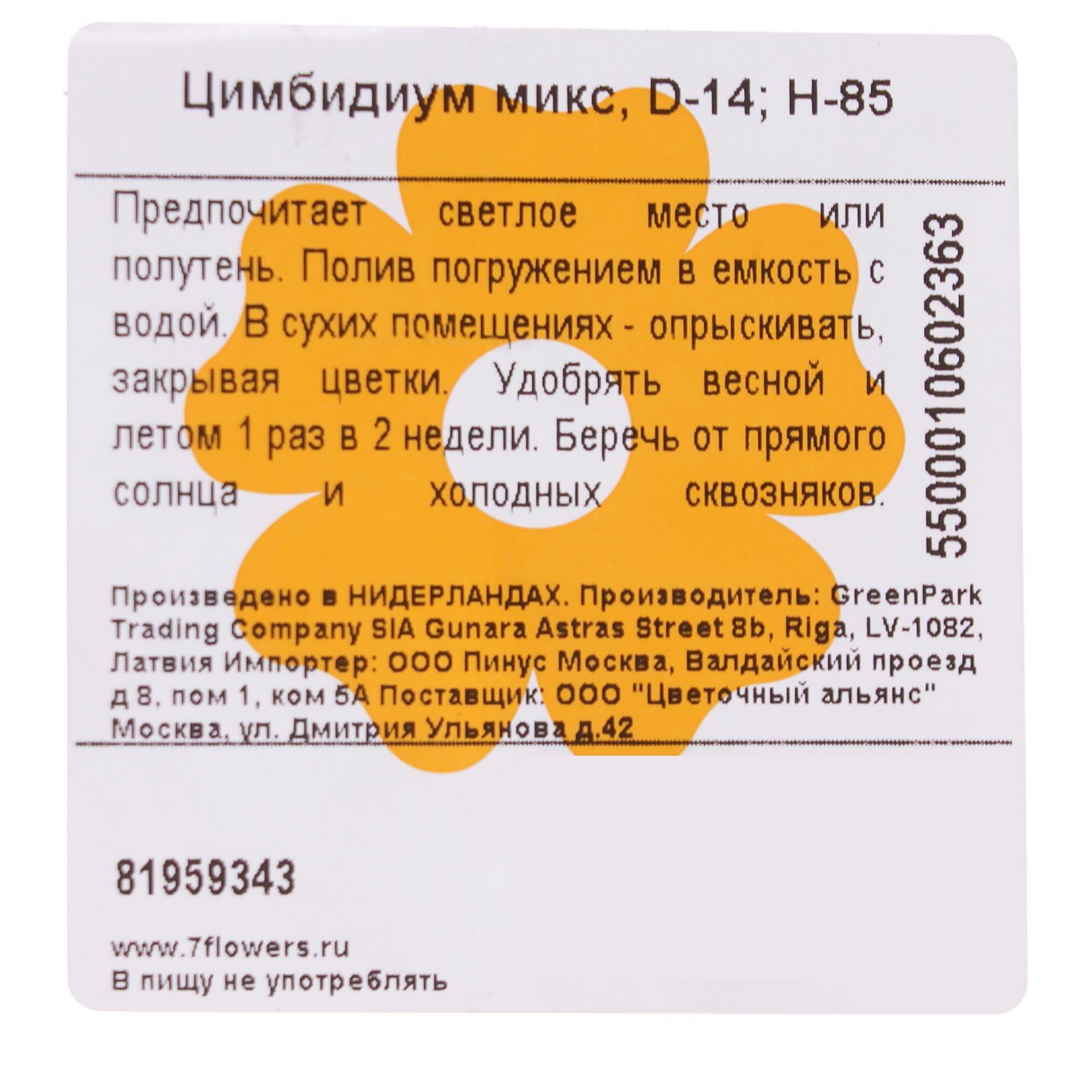 81959343 Орхидея Цимбидиум микс ø14 h85 см Santreyd  - Вид №3