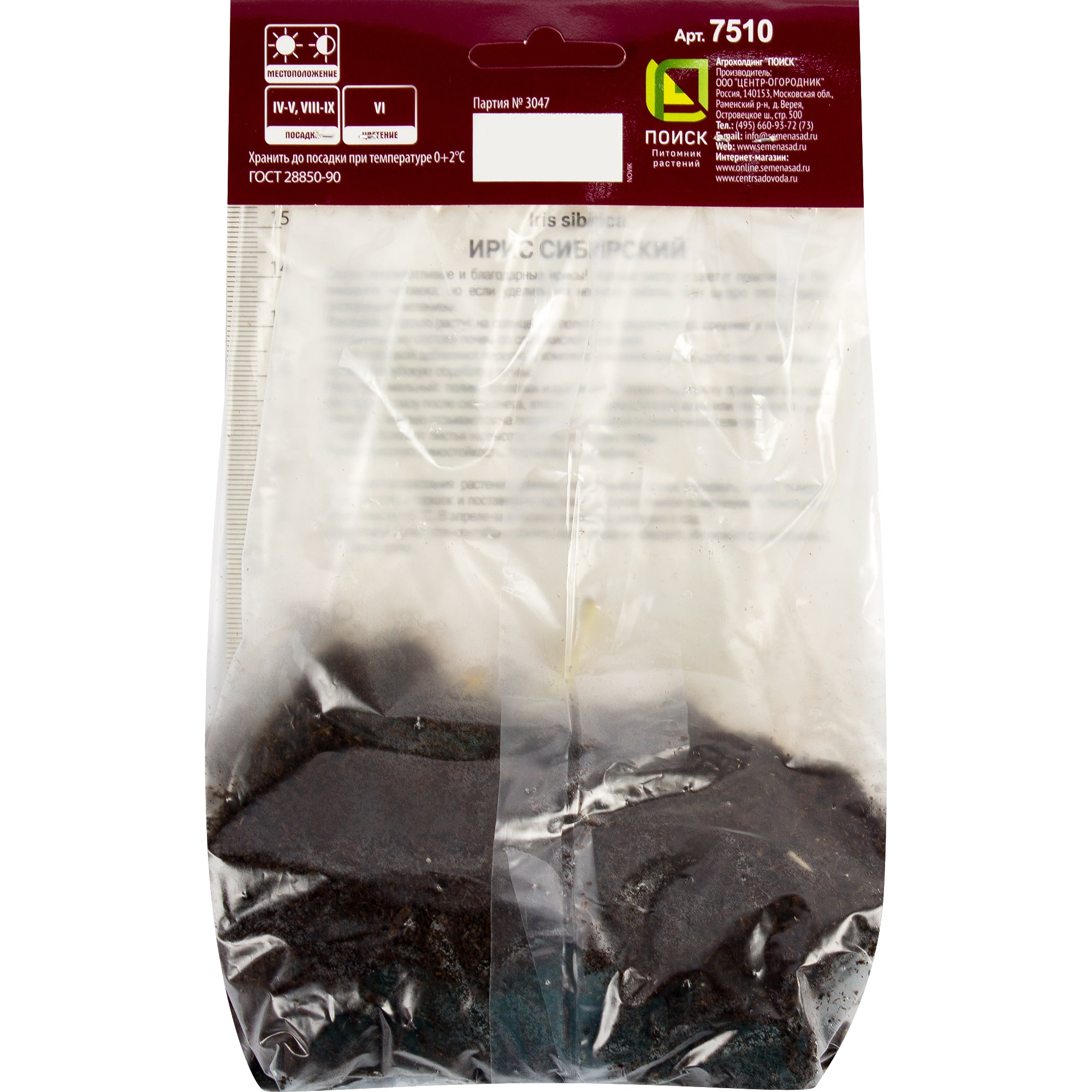 82319544 Ирис сибирский «Цезарс Бразе», размер луковицы I Santreyd  - Вид №1