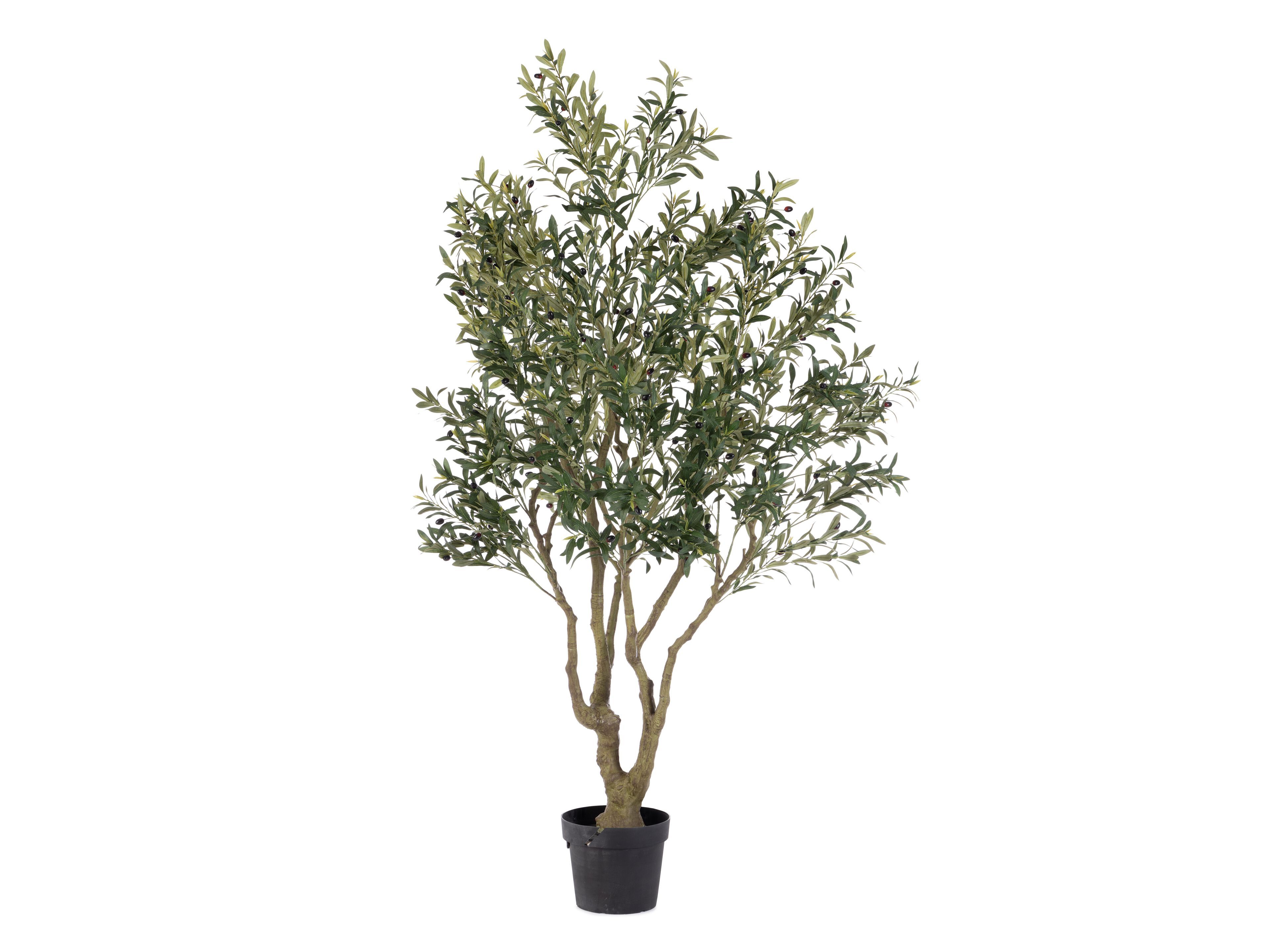 Искусственное растение BIZZOTTO ULIVO H210 ARCH-00038700