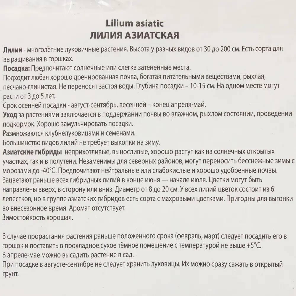 Лилия азиатская Центерфолд 1 шт 81945448 STLM-2049318 Santreyd  - Вид №2