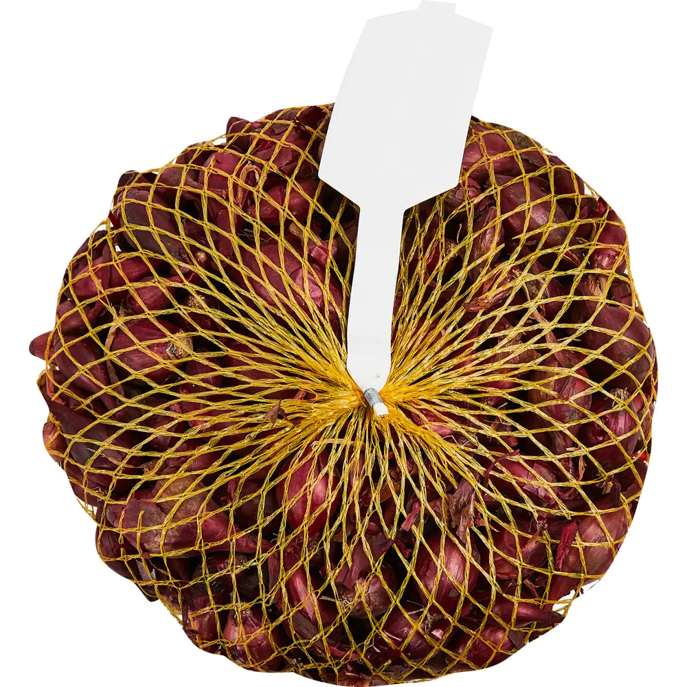 Лук-севок Кармен МС 0.5 кг Santreyd STLM-2201229