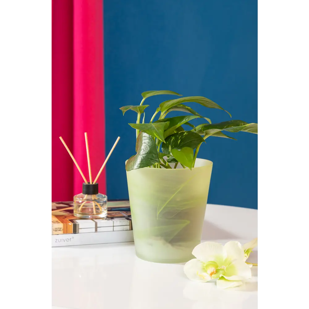 Кашпо для орхидей ø14 h15 см v1 л стекло белый/зелёный NINA GLASS Бальзамин STLM-2201429 - Вид №4